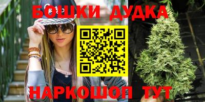 крисы Краснодар