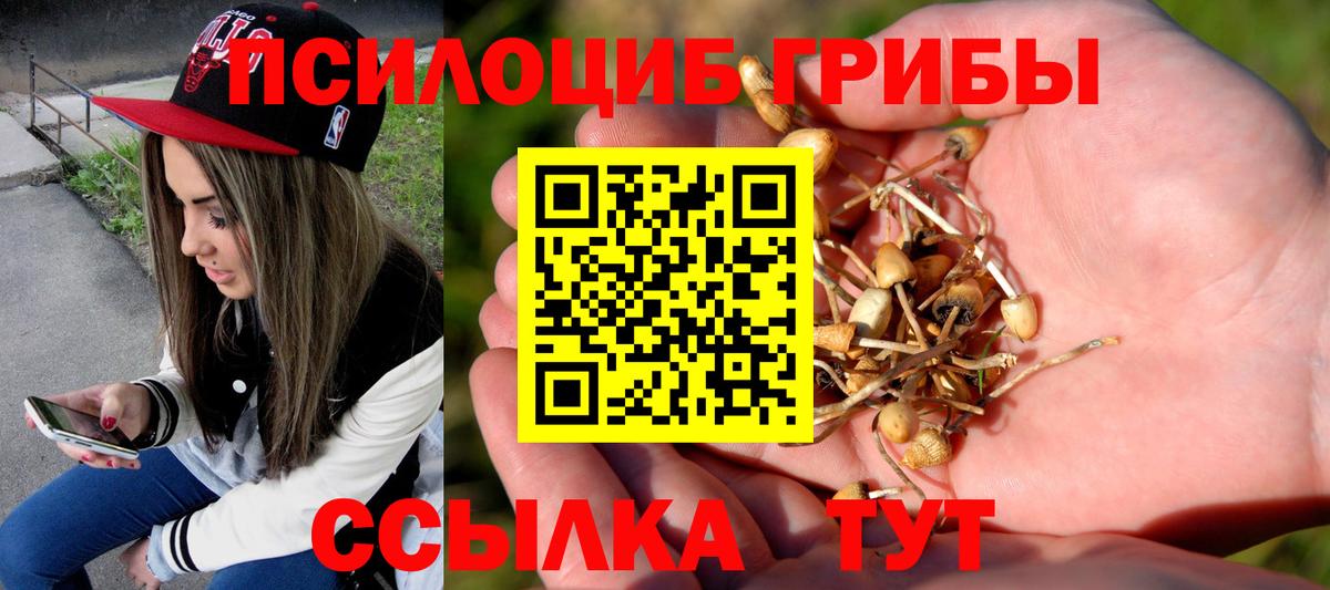 Галлюциногенные грибы Cubensis Королёв