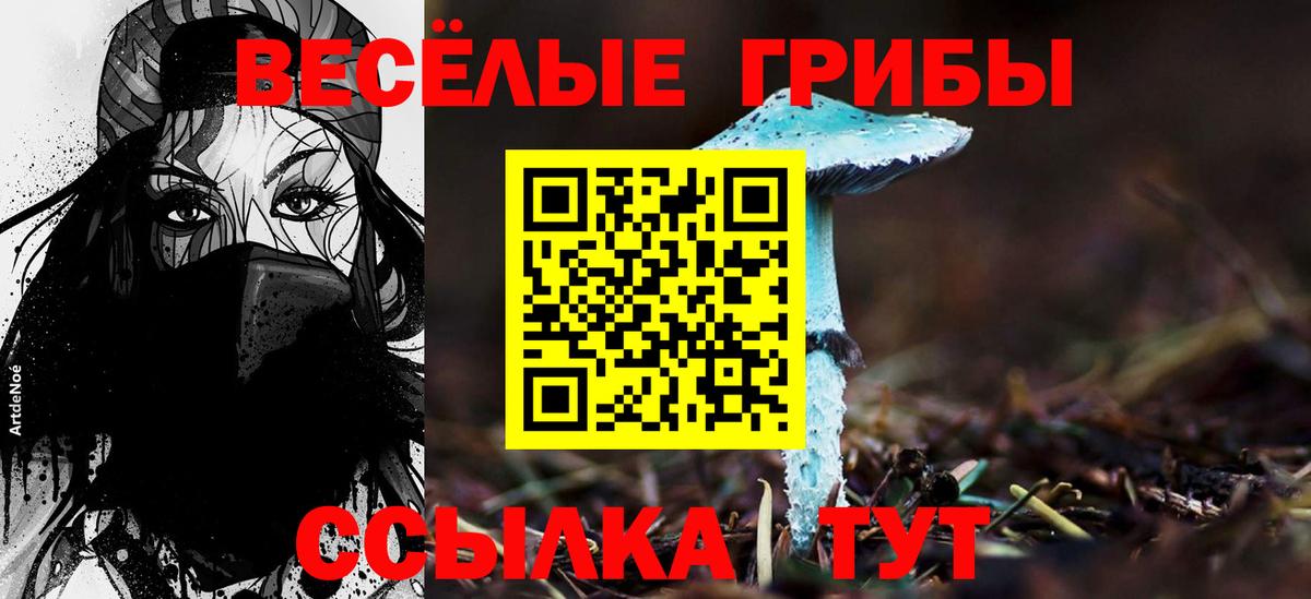 Псилоцибиновые грибы мицелий  Галлюциногенные грибы ЛСД  Королёв  Вход с VPN 